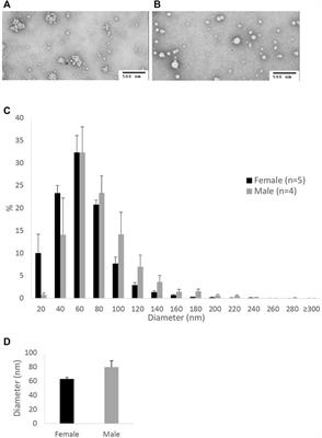 The effects of sex hormones on the size of intestinal lipoproteins